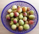 apple kul2.webp