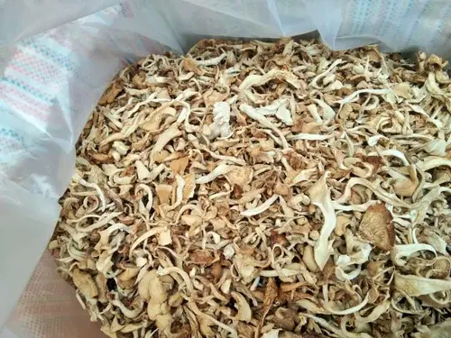 oyster mushroom2.webp