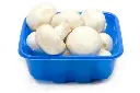 white button mushroom2.webp