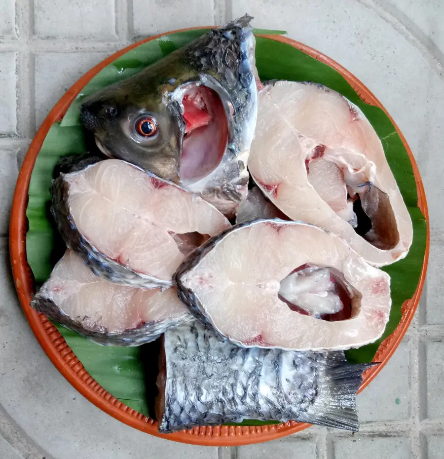 Kalibaush fish1.webp
