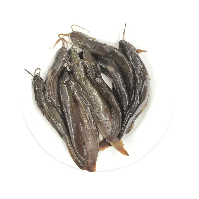 Shing fish4.webp