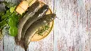 Magur Fish1.webp