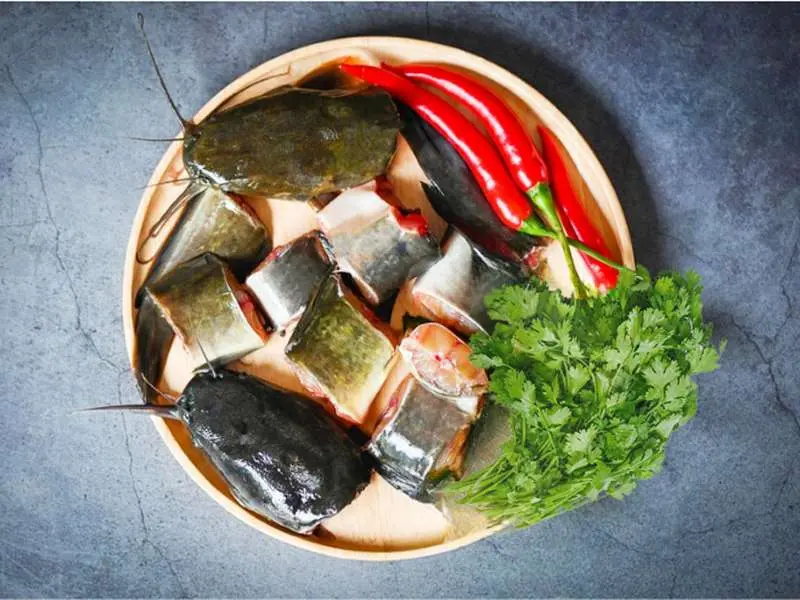magur fish3.webp