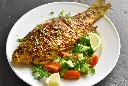 koral fish4.webp