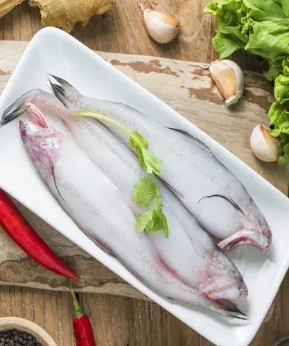 bombay duck fish4.webp