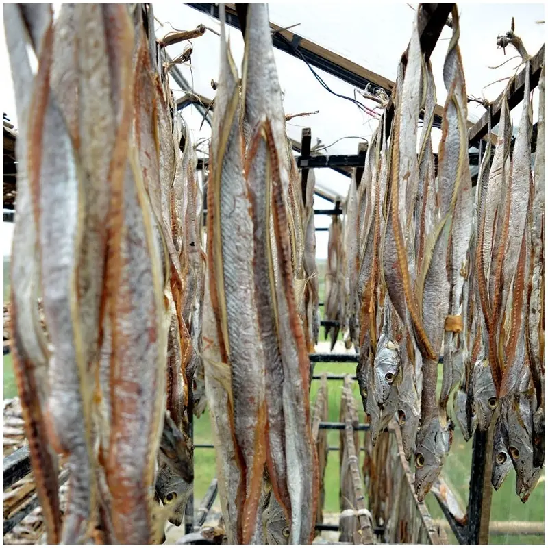 dried bomaby duck fish1.webp