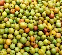 sour jujube1.webp
