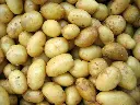 unsplash_LSZfNPVZjTw_Yukon gold potato.webp