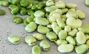 beans sprout2.webp