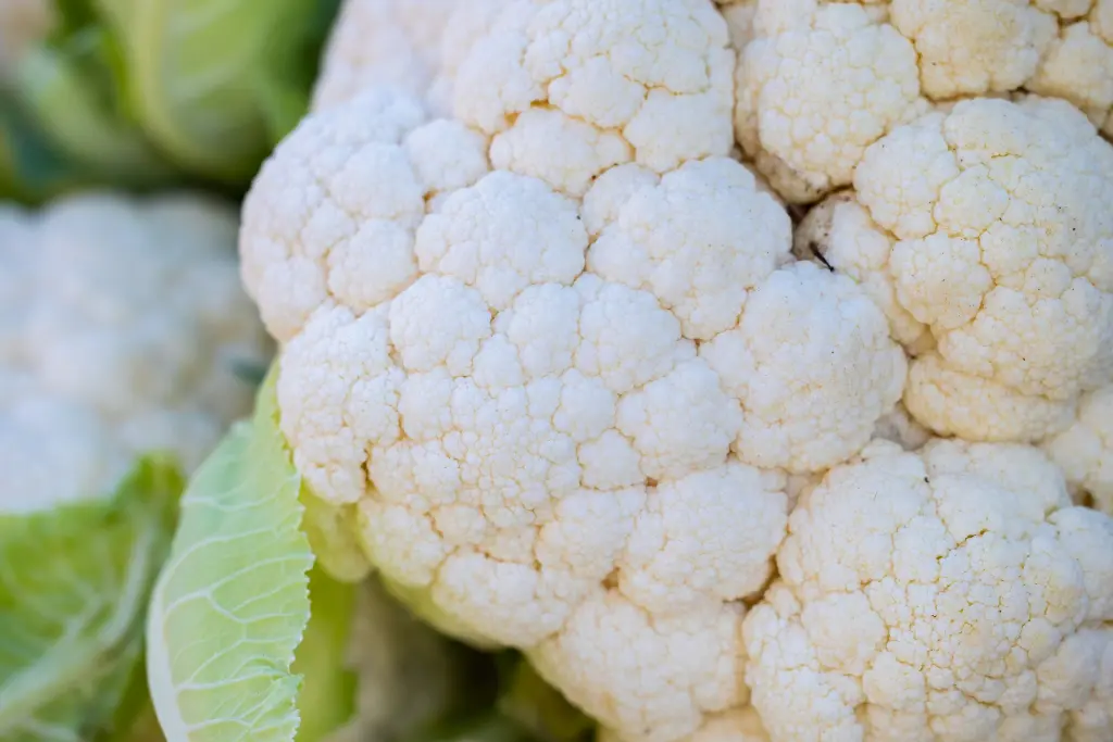 unsplash_O5N0y3GQgfg_White Cauliflower.webp.jpg