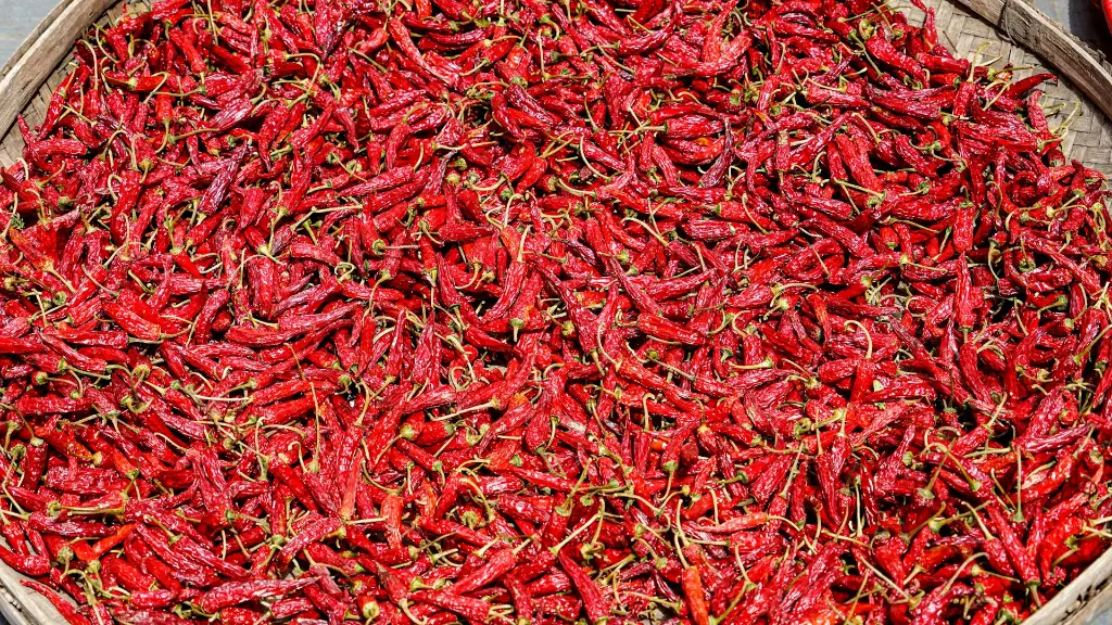 unsplash_fDexo2xEbO8_Dry chilli.webp.jpg