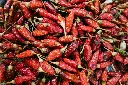 unsplash_t0cc6qWWq3o_Dry chilli.webp.jpg.jpg.jpg