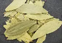 1000002534.webp