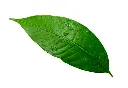 1000002796.webp