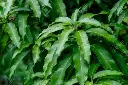 1000002793.webp