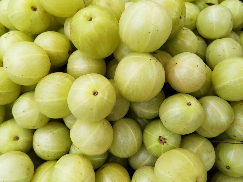 Amla3.webp