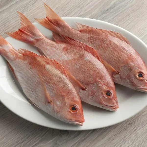 Red-Snapper-Whole-1.4-1.6kg-Custom-1-600x600.webp
