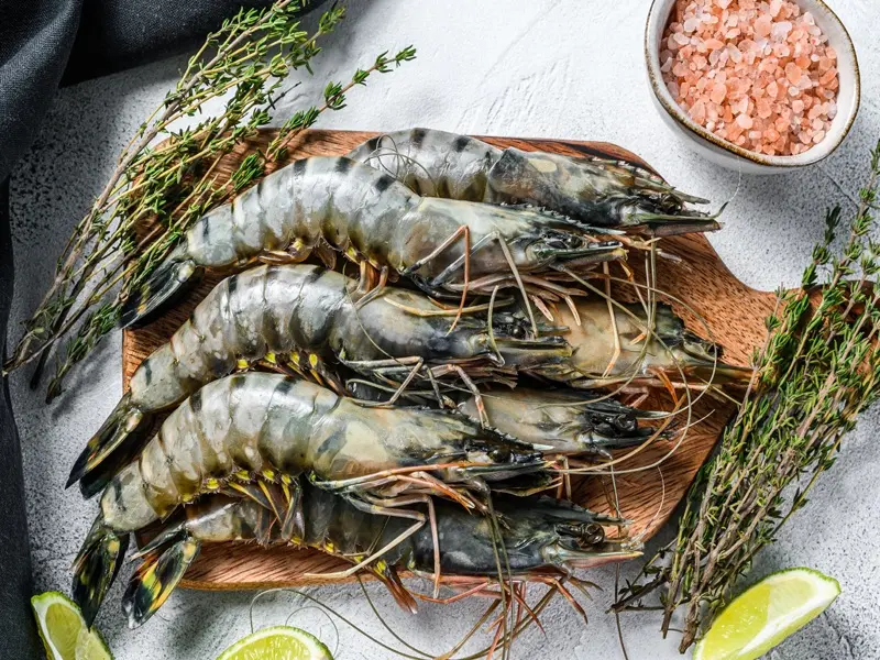 Fresh-Tiger-Prawns-1.webp