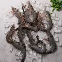 Black-Tiger-u810_1_9319b879-c4c8-4e14-9f81-1a2e86133c96_700x700.webp