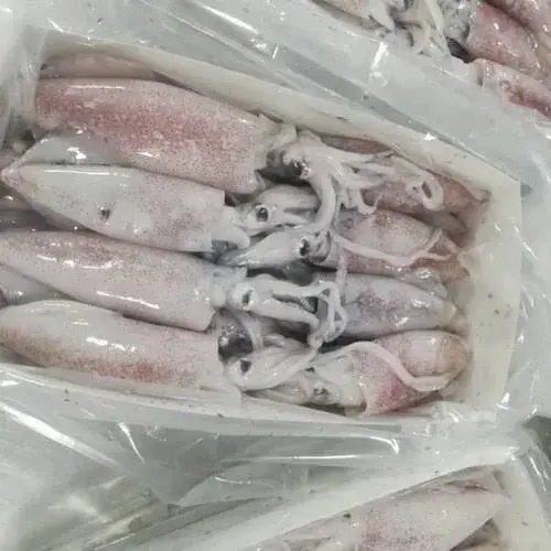 product-jpeg-500x500.webp