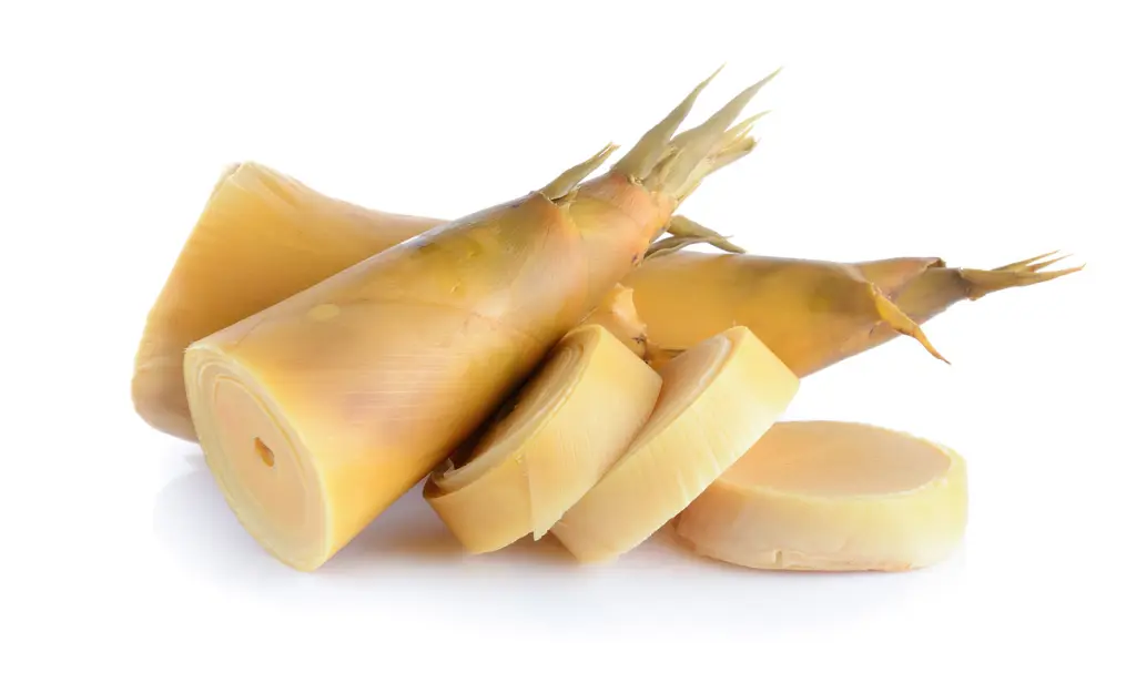 bamboo shoots4.webp