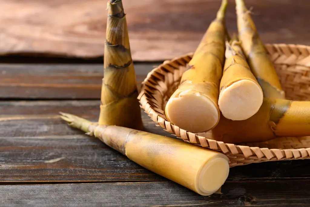 bamboo shoots3.webp