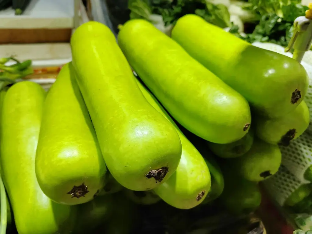 bottle gourd.webp