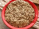 closeup-bottle-gourd-seeds-lagenaria-600nw-2641130751.webp