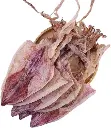 dry-squid-fish-500x500.webp