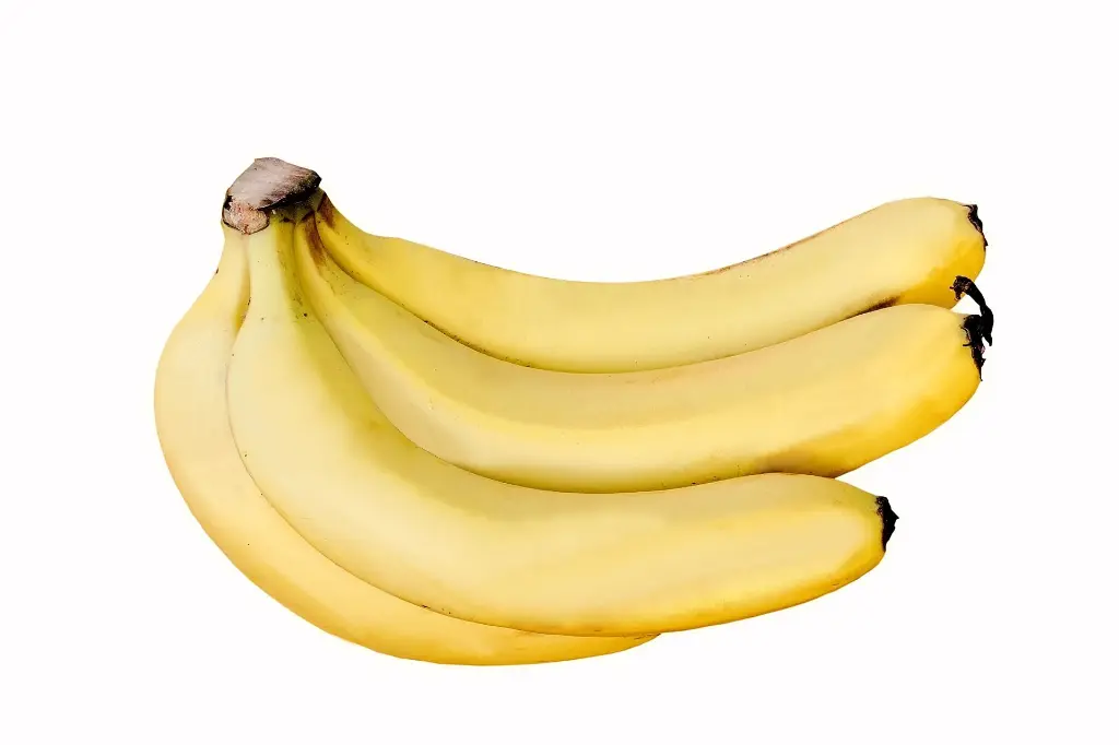 Cavendish_Banana_DS.webp