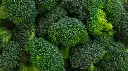 broccoli2.webp