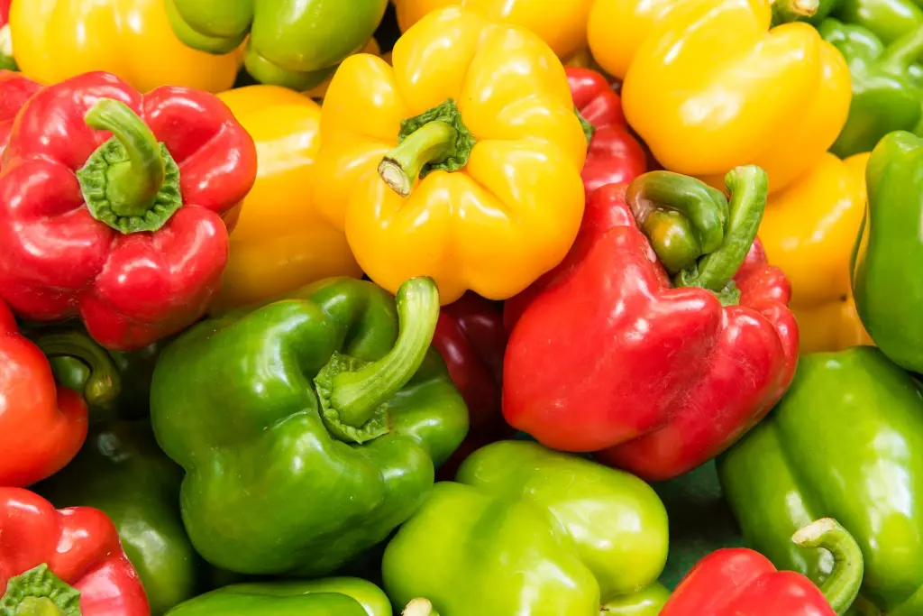 capsicum2.webp