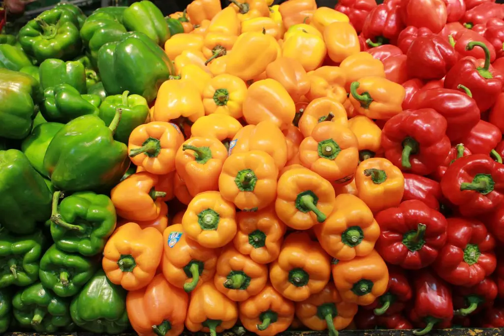 capsicum1.webp