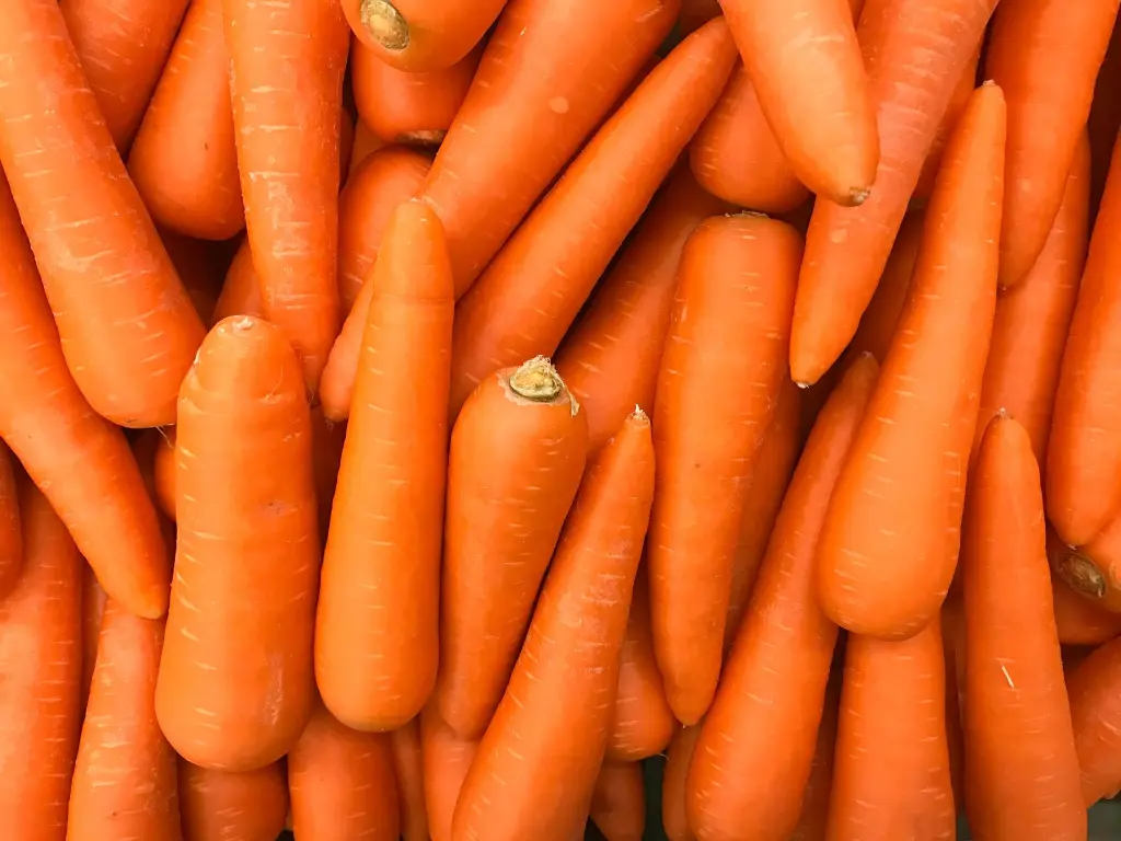 carrot2.webp