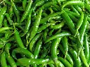green chili2.webp