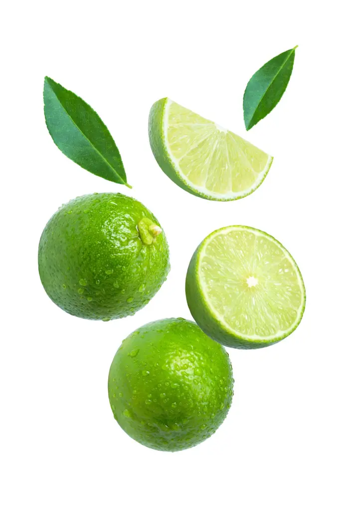 lemon2.webp