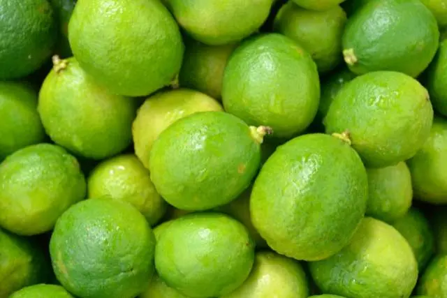 lemon5.webp
