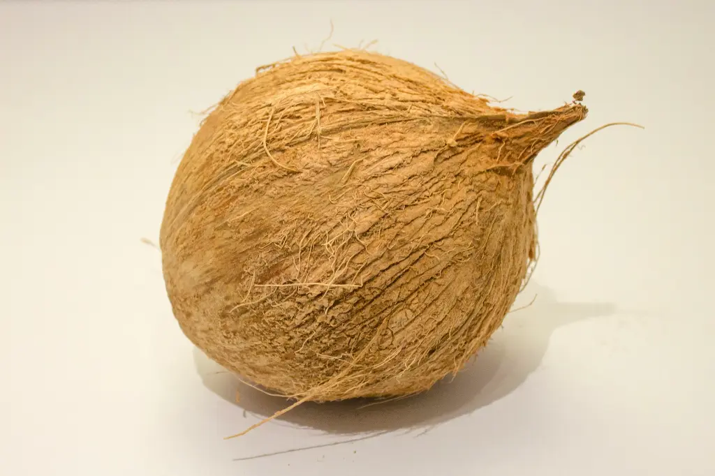 unsplash_pGpu2b5La9k_dry coconut.webp