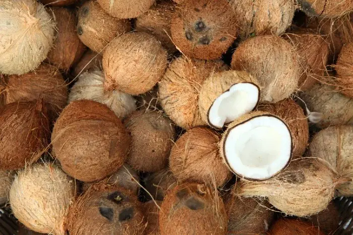 dry coconut2.webp