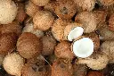 dry coconut2.webp