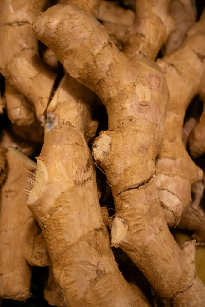 unsplash_7sg-CFuOc3g_Whole ginger.webp.jpg.jpg.jpg