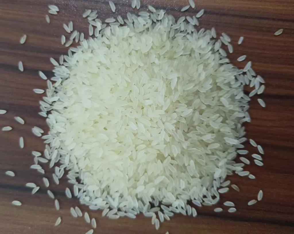kataribhog rice 2.webp
