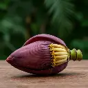 banana blossom1.webp