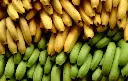 cavendish1.webp