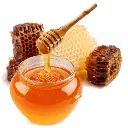 sundarban forest honey1.webp