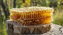 sundarban forest honey4.webp