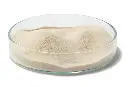 Agar Agar Powder