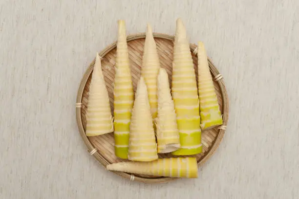 Bamboo Shoot