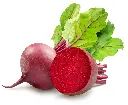 Beetroot