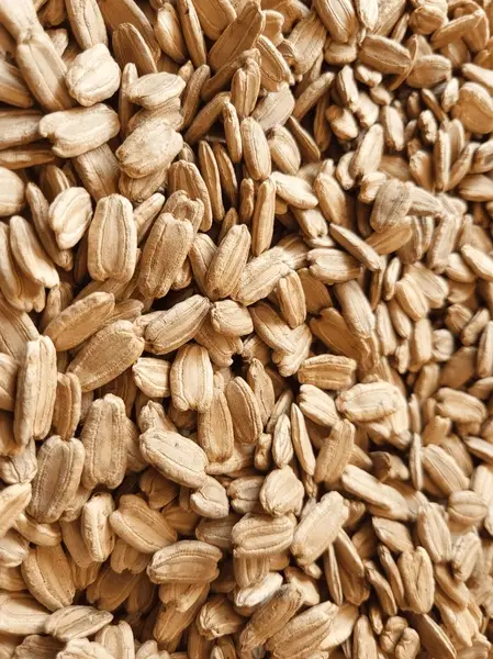 Bottle Gourd Seed
